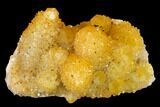 Sunshine Cactus Quartz Crystal Cluster - South Africa #132893-1